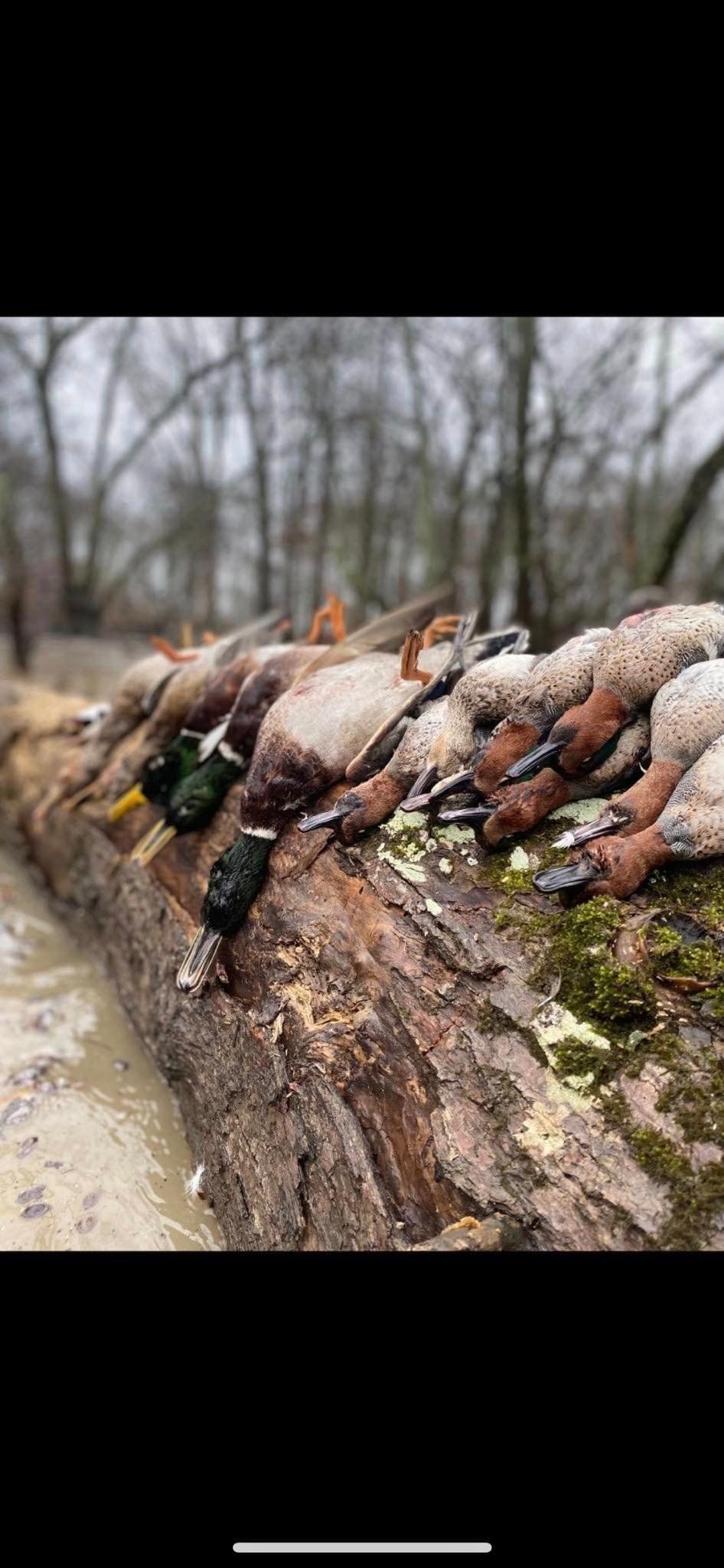 Hunting Club gallery