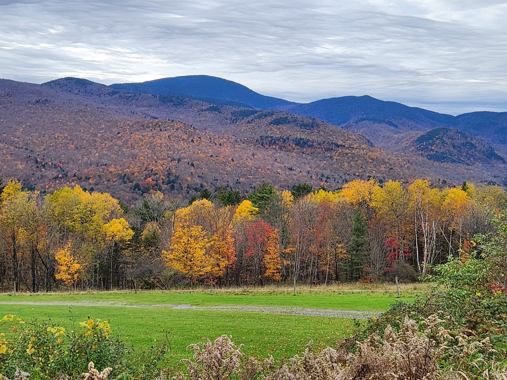 Autumn landscape with colorful trees and rolling mountains under a cloudy sky.