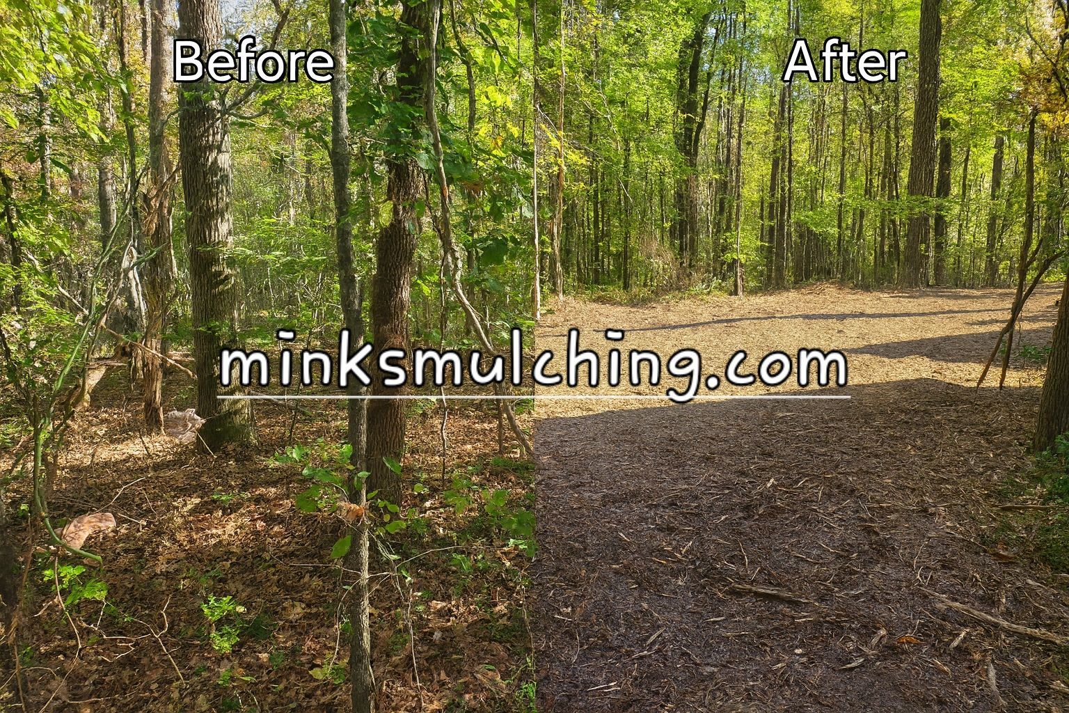 Before and after showing a wooded area. The 