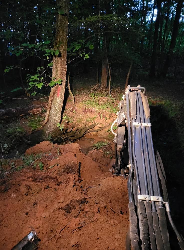 A mini excavator digs near a tree in a dimly lit forest, illuminated by its work lights.
