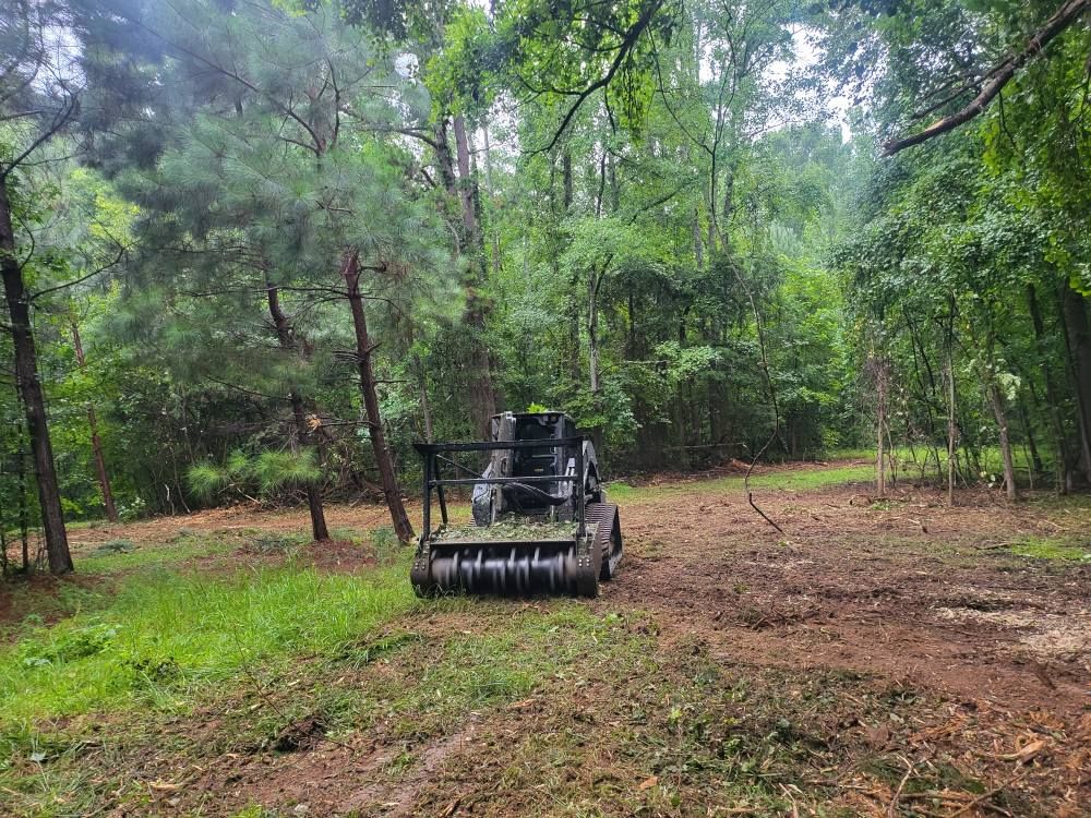 Bobcat mulching machine clearing land in a wooded area, surrounded by trees and vegetation.