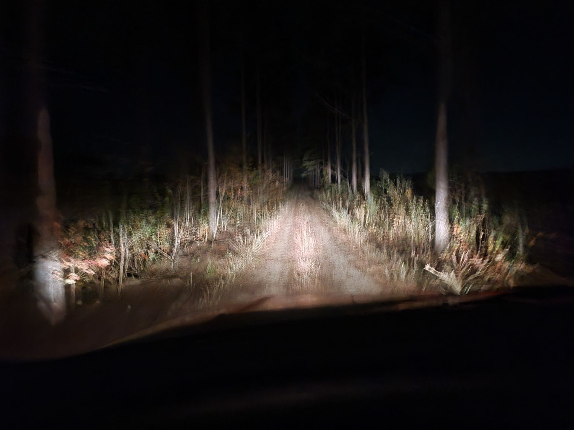 Car headlights illuminate a dark, dirt road through a forest at night.