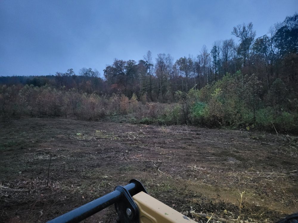 A field of cut brush with a forest in the background under a cloudy sky.