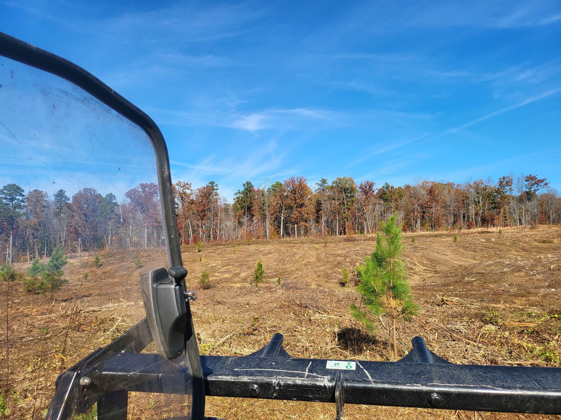 View from a utility vehicle cab looking over a field with saplings towards a treeline under a blue sky.