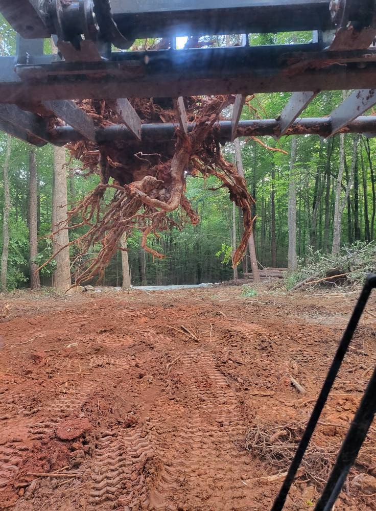 A tree root system held by a machine over a cleared dirt area; trees in the background.