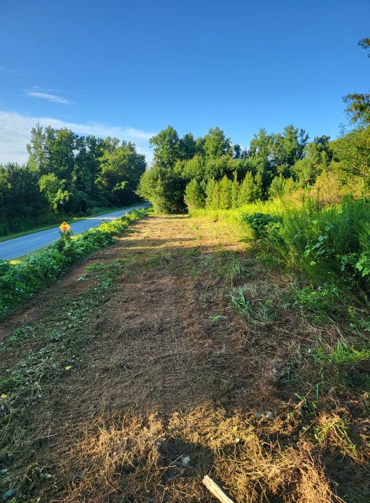 Cleared dirt strip alongside a road, bordered by greenery, under a blue sky.