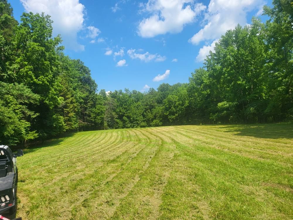 A mowed field surrounded by trees under a blue sky with clouds.