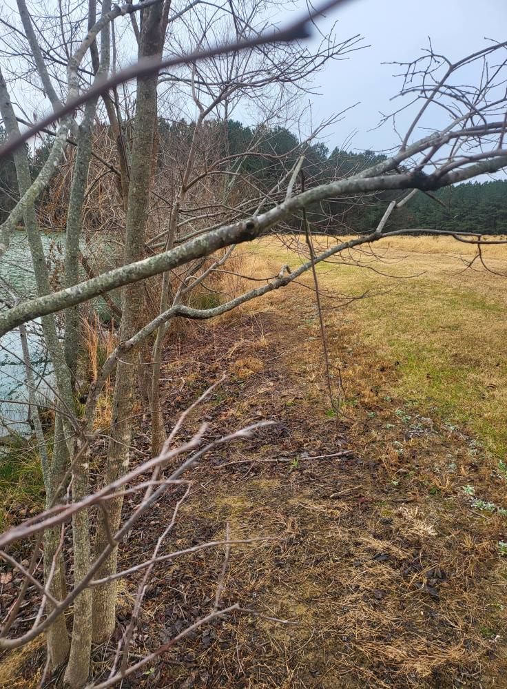 Trees line a body of water, next to a brown grassy field under an overcast sky.