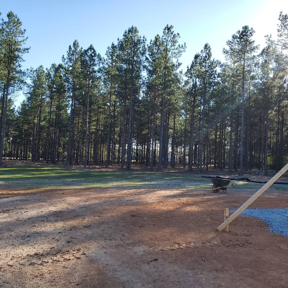 Open field with dirt and grass, bordered by a tall pine forest under a bright blue sky.