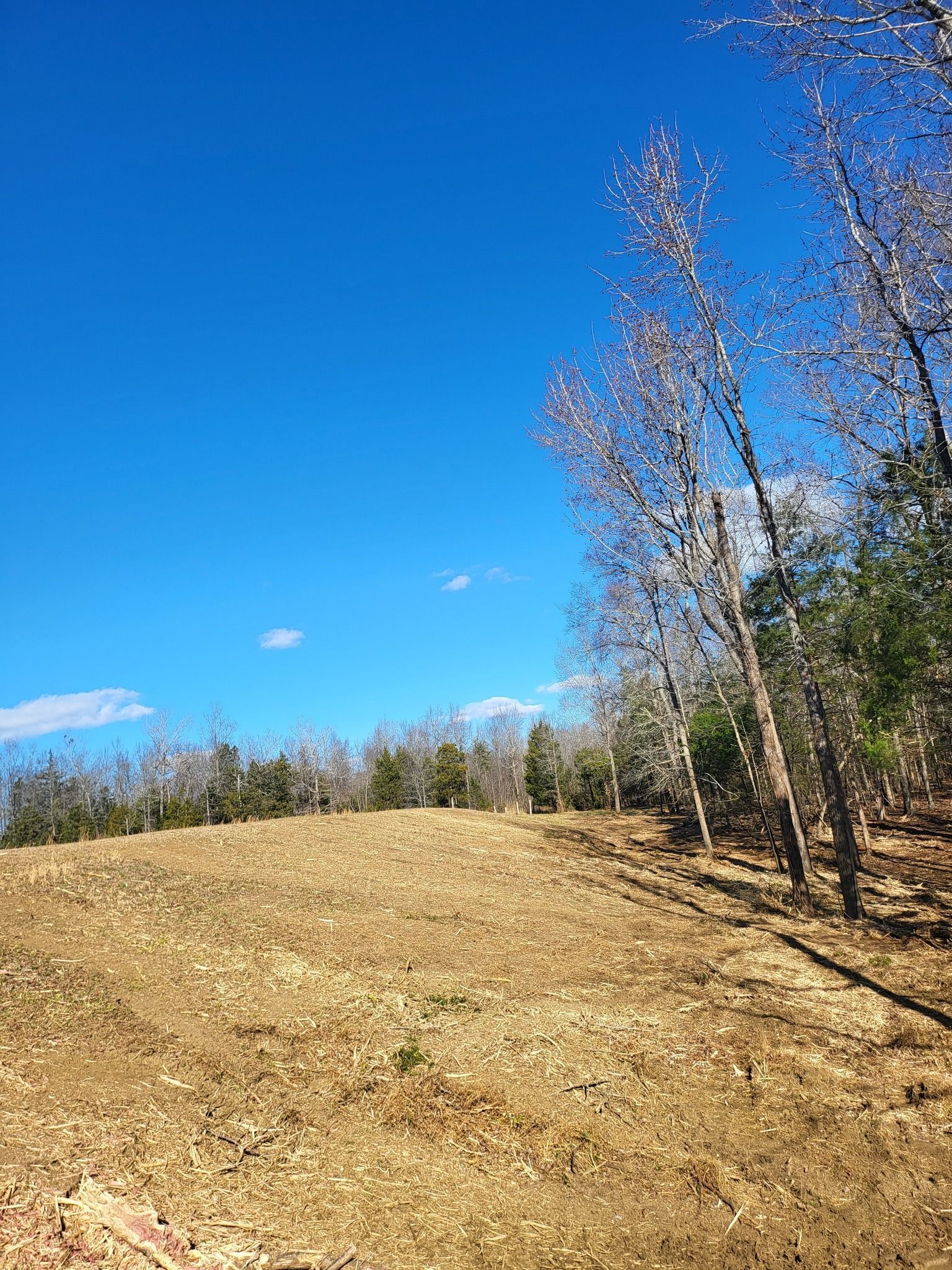 Cleared field under a bright blue sky with trees on the right and horizon.