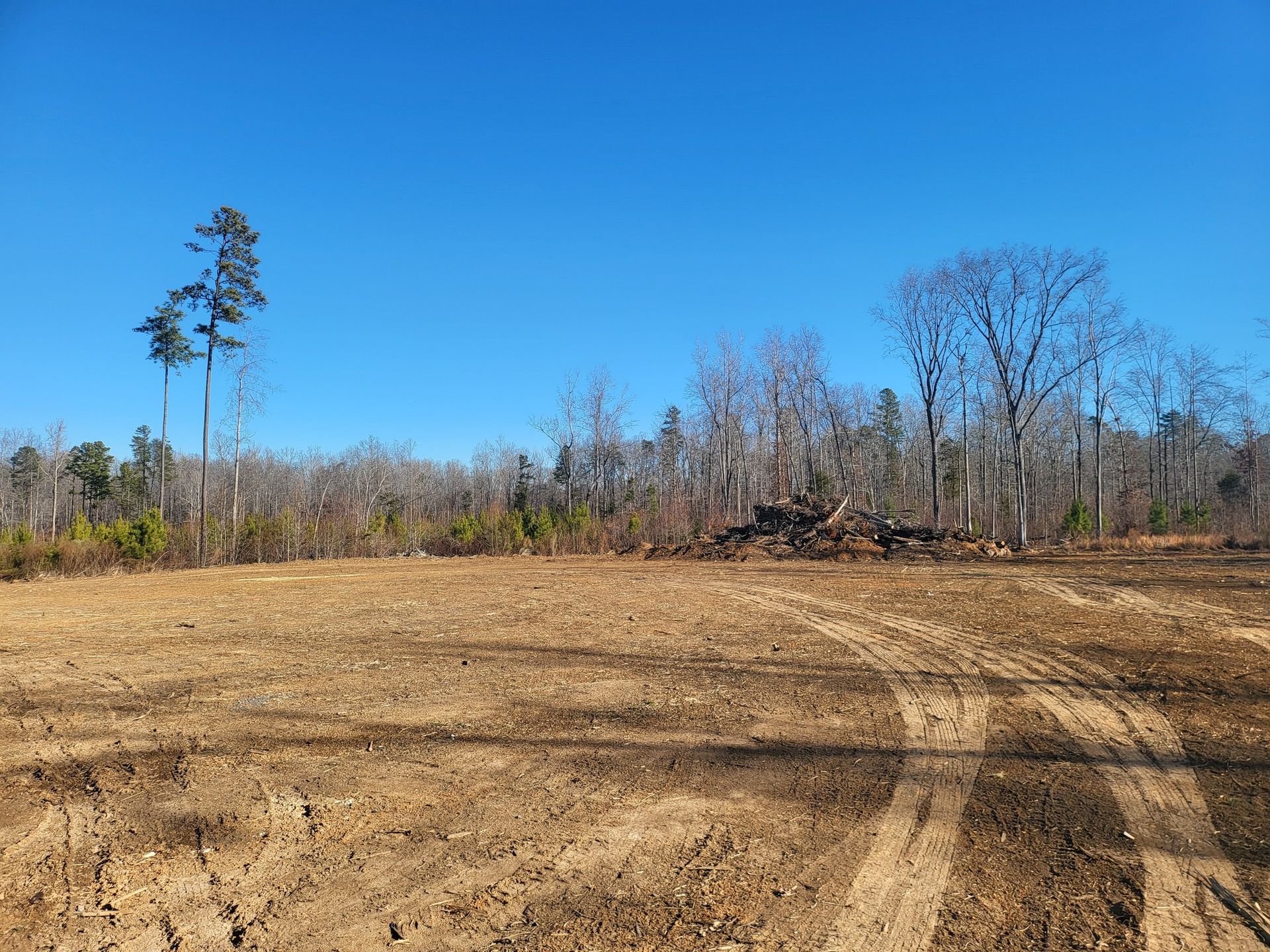 Cleared field with tire tracks, trees in the background, blue sky.
