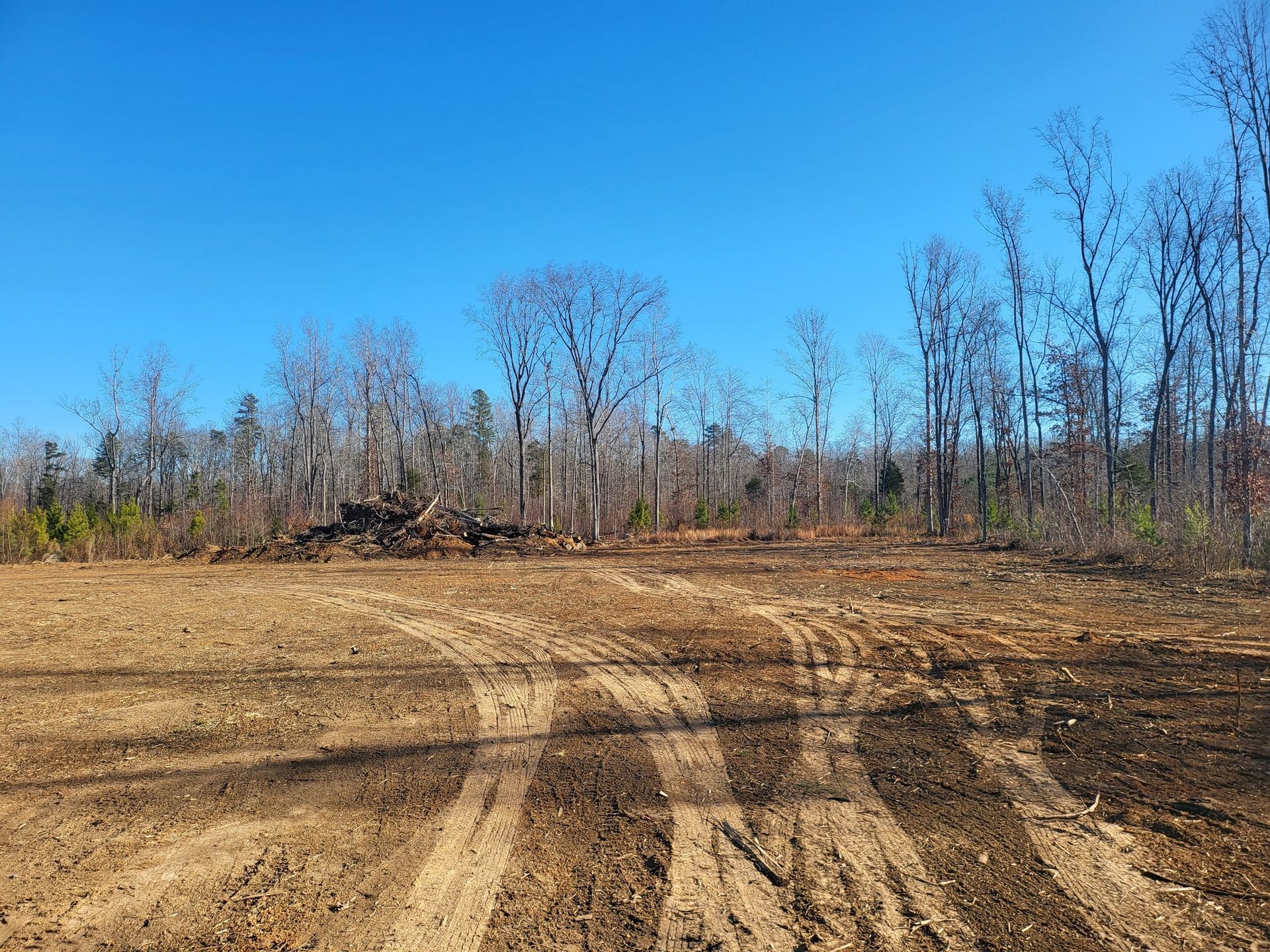 Cleared land with tire tracks in the foreground, trees in the background, under a bright blue sky.