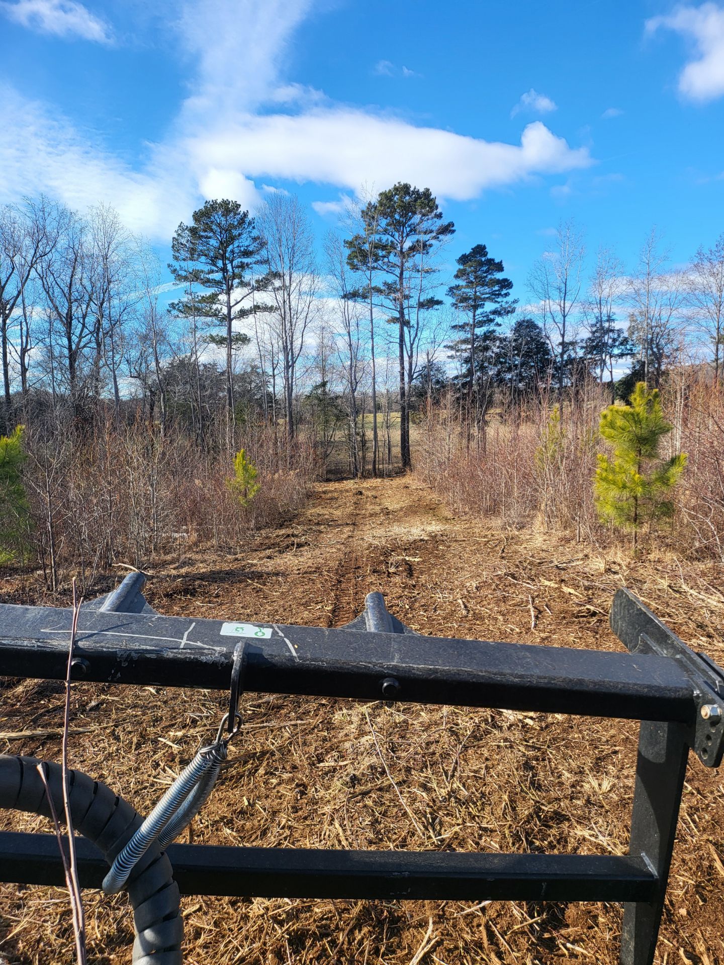 View from a tractor with a dirt path leading toward trees under a blue sky.