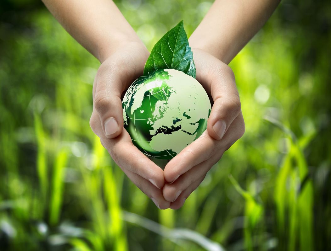 Hands cradling a globe covered in green foliage, with a leaf on top. Set against a blurred green backdrop.