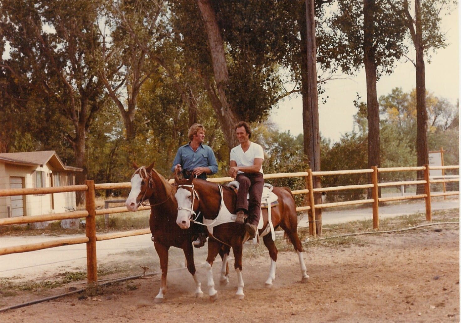 horse riding prop rental