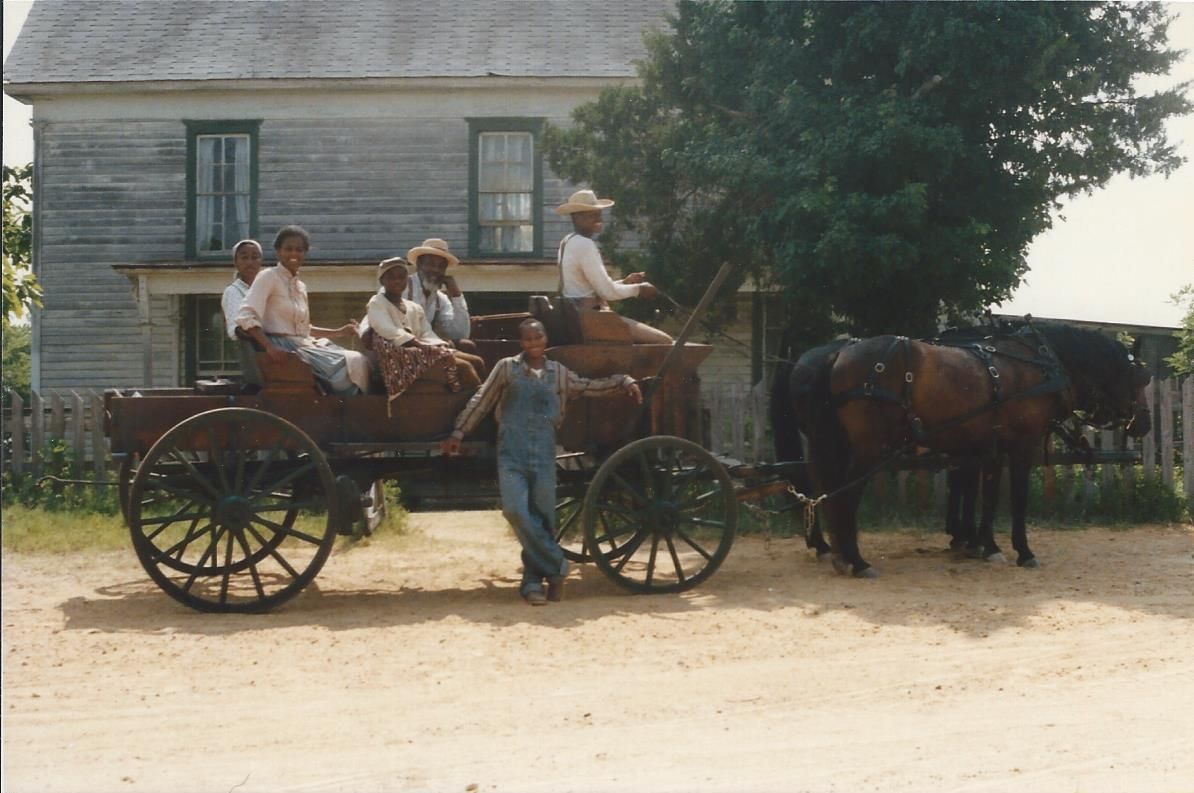 horses in movie out west