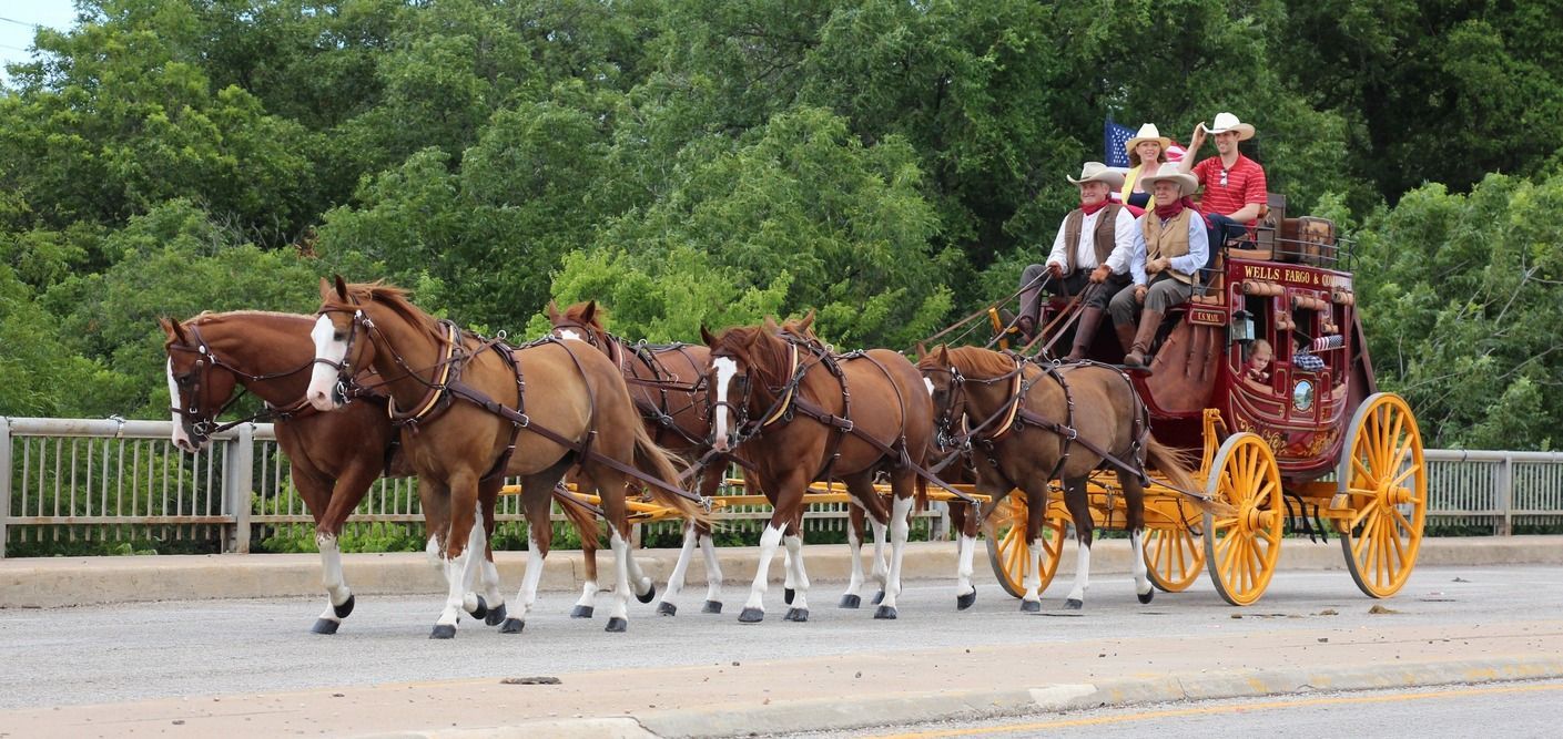 brown riding horses rentals