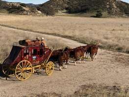western horses carriage