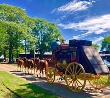 yellow carriage riding