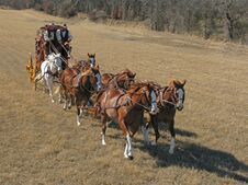 western prop rentals