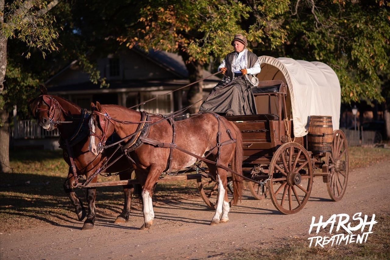 movie set carriage drive