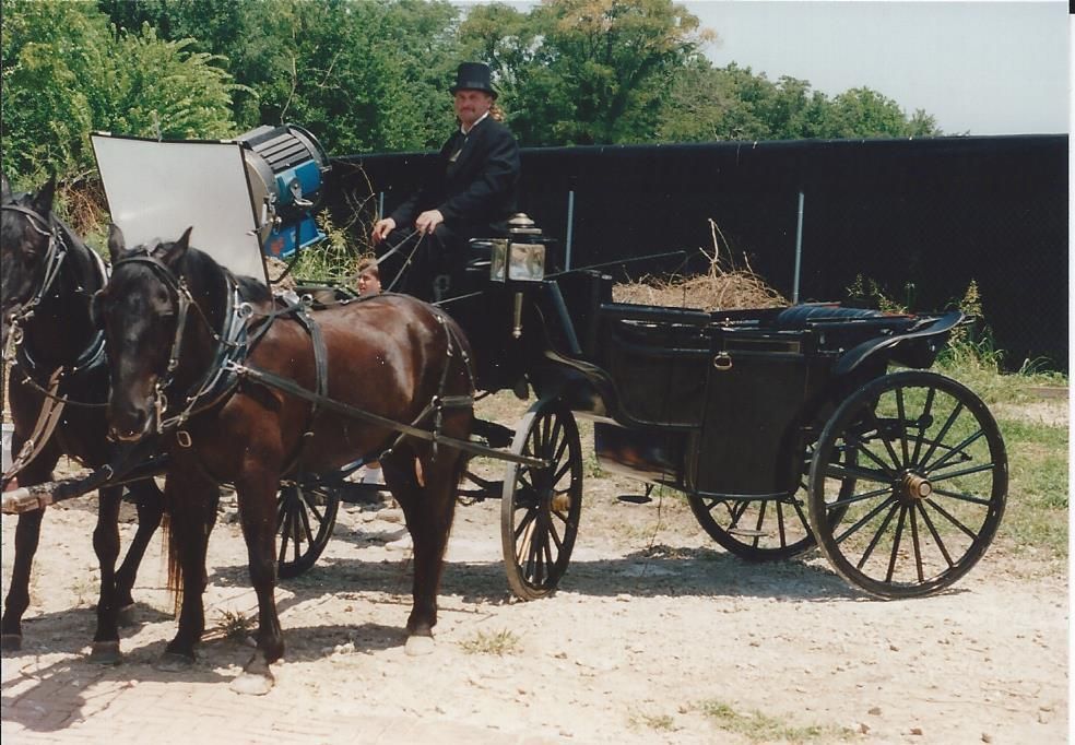 horses in western movie rentals