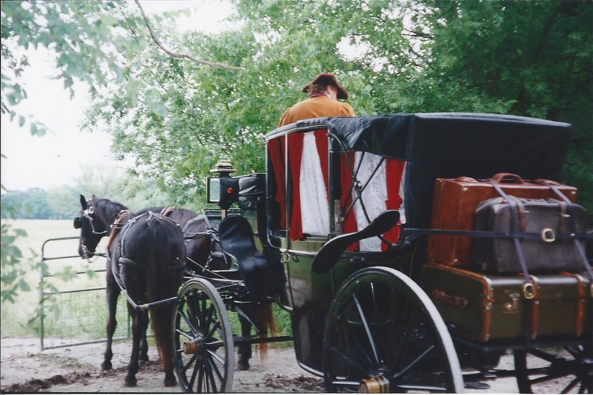 black carriage horse