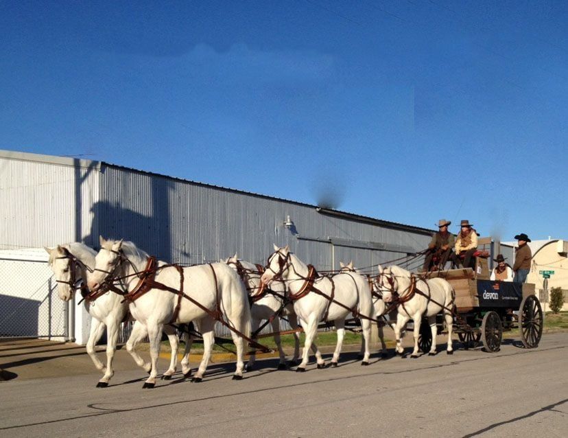 white horse transport