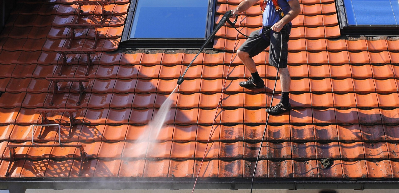 Roof Cleaning Services