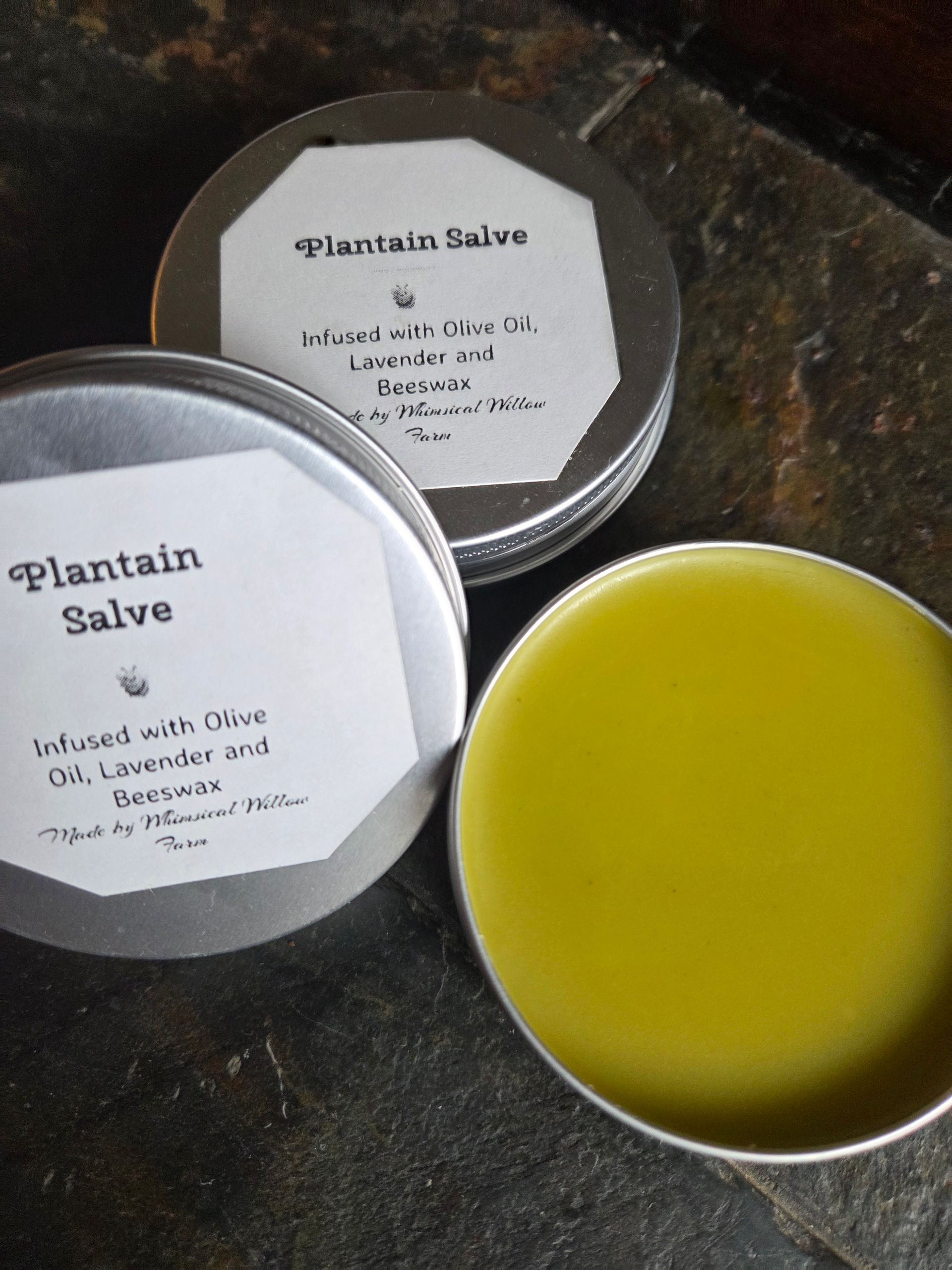 Plantain Salve 2 oz Tin