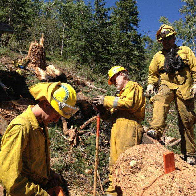 Firefighters in yellow gear working outdoors in a wooded area. One digs in dirt, others watch.