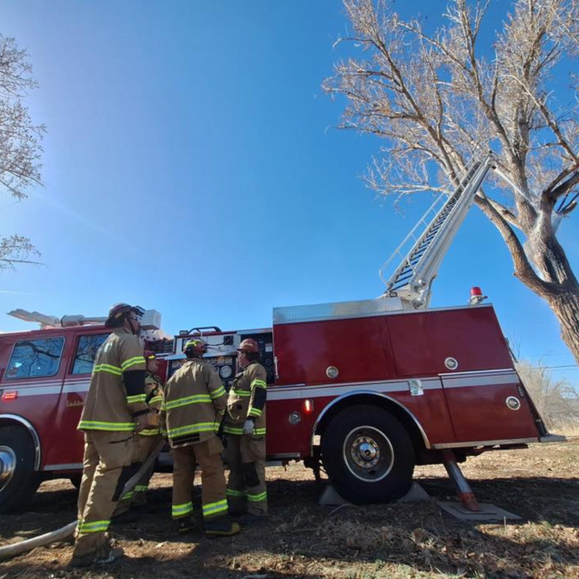 Firefighters with truck and extended ladder near a tree. Blue sky.
