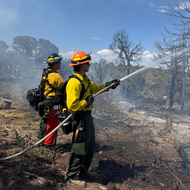 Firefighters spraying water on a wildfire, wearing yellow jackets and helmets in a charred forest.