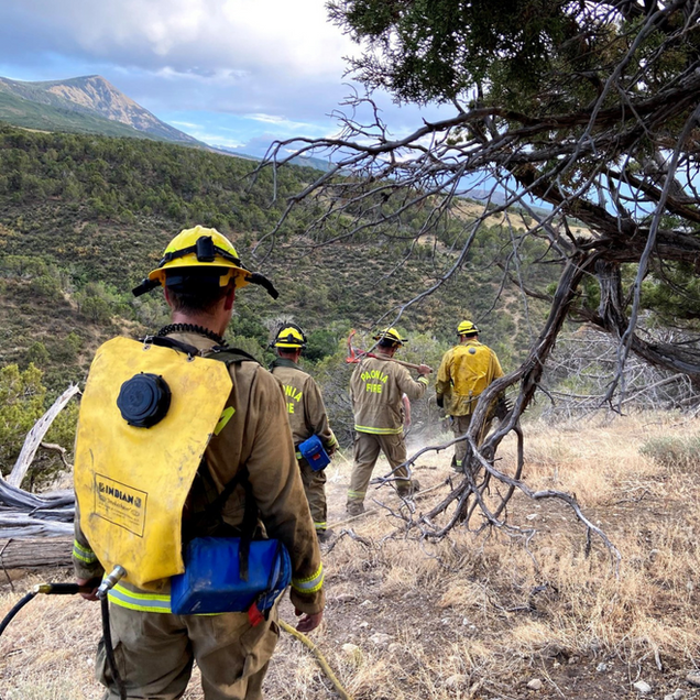 Firefighters walking in a dry field, with yellow packs on their backs, extinguishing a brush fire near a mountain.