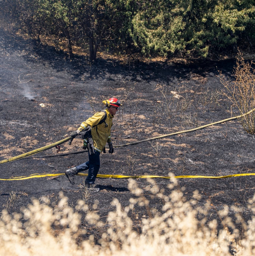 Firefighter in yellow gear, red helmet, runs with hose, extinguishing wildfire in burnt field.