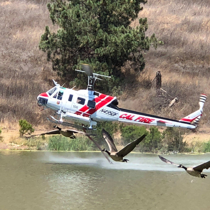 Helicopter with red and white stripes, CAL FIRE logo, flies over water with geese. Hills in background.