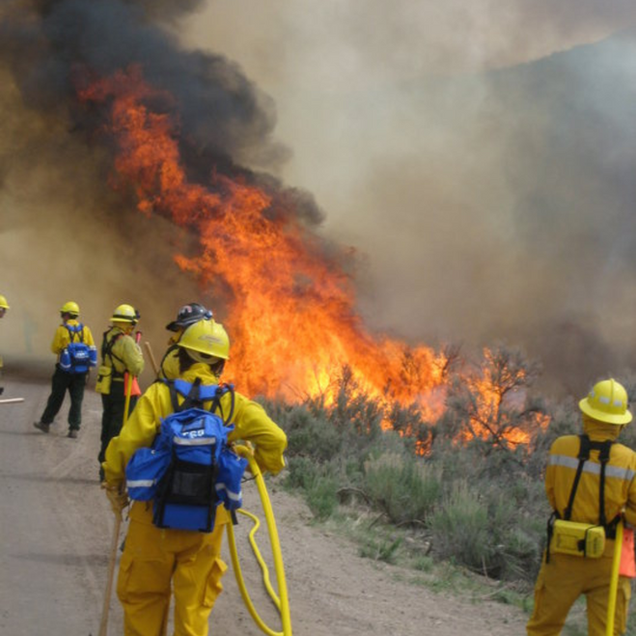 Firefighters in yellow gear battle a wildfire with flames and smoke billowing in the background.