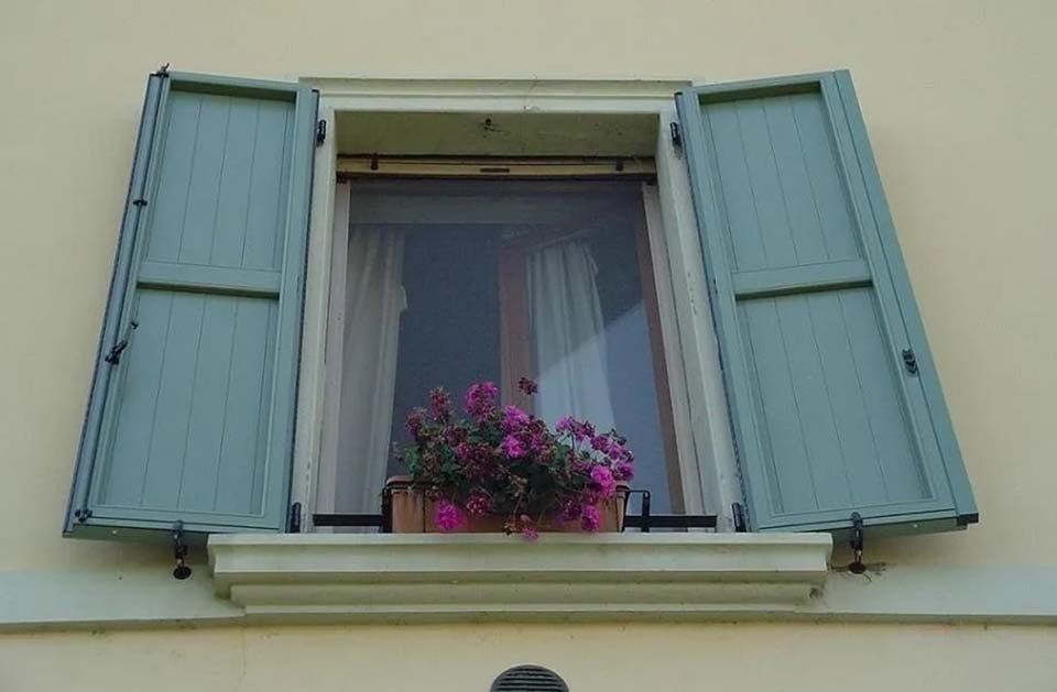 Vaso di fiori su davanzale