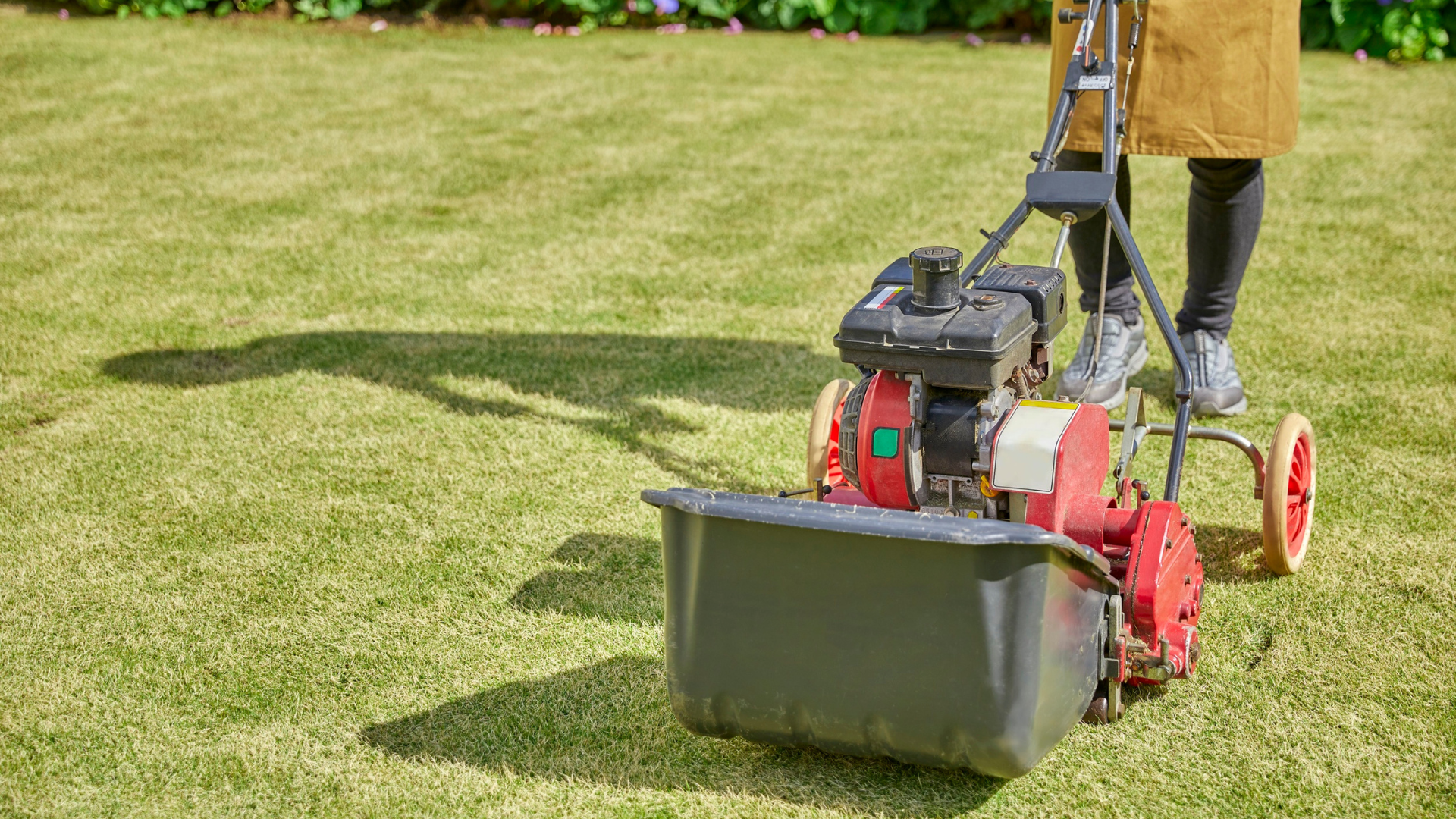 Person mowing a green lawn with a red and black lawnmower on a sunny day.