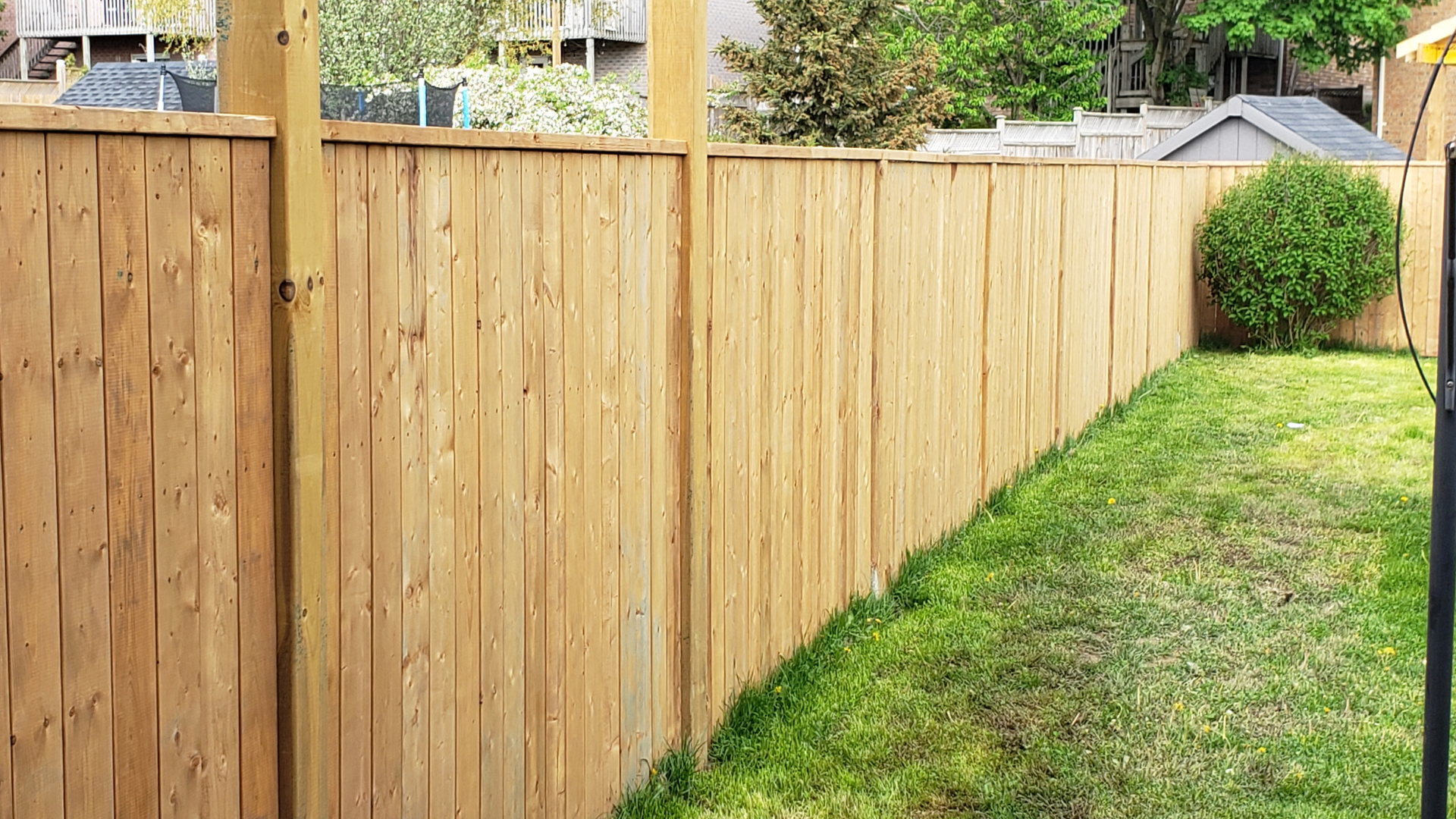 Wooden fence along a grassy yard, with a round bush near the end.