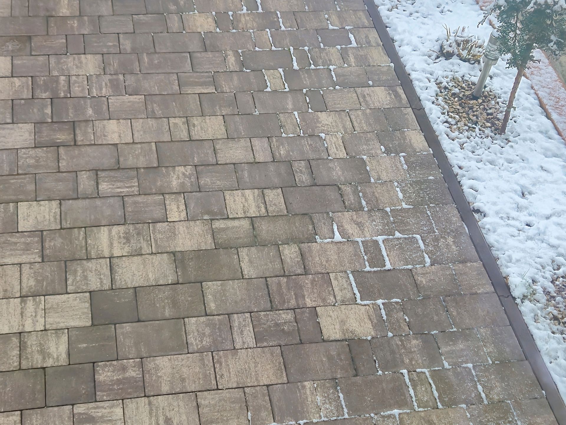 Brown asphalt shingles with patches of snow along the edge and next to a small bush.
