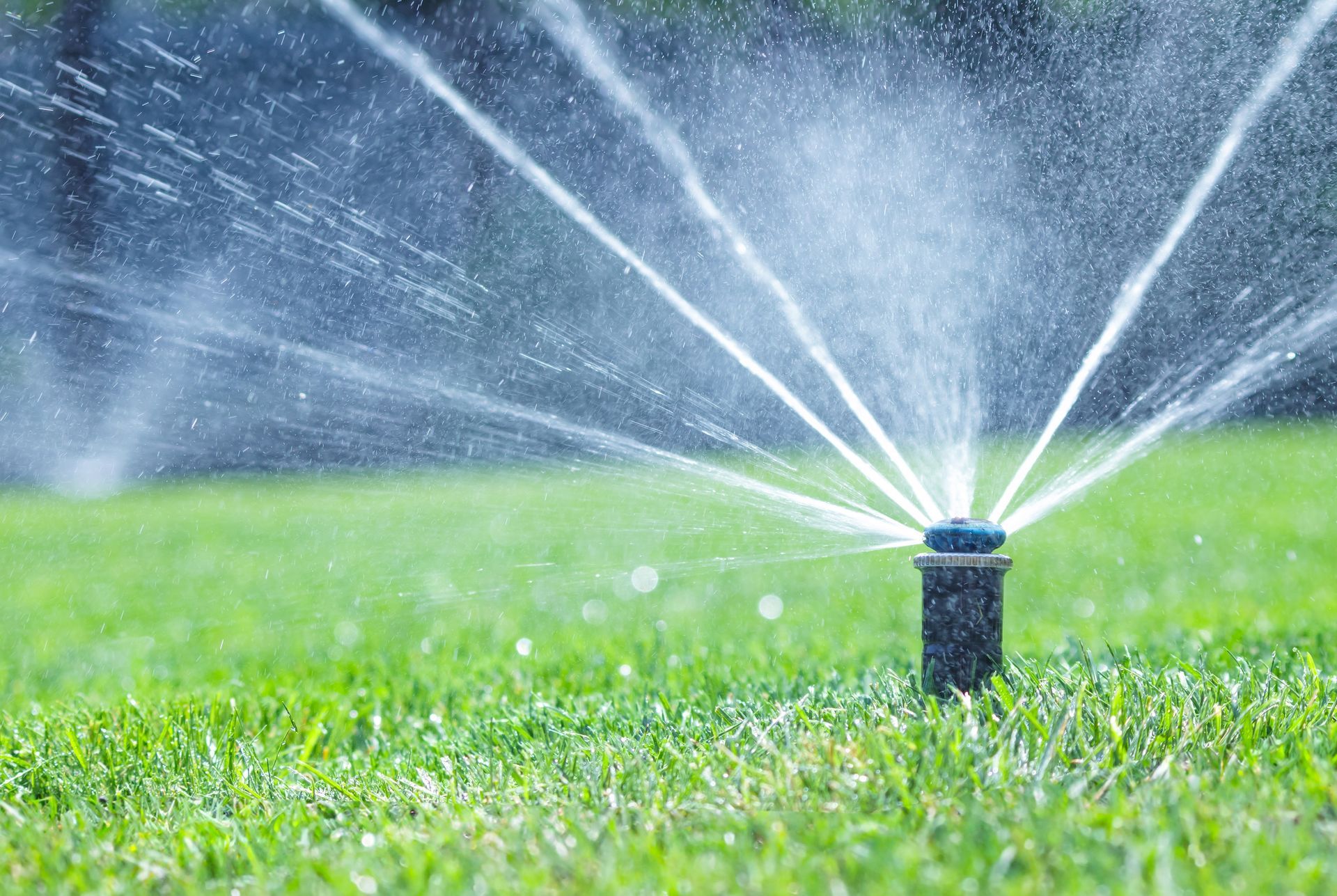 Garden sprinkler spraying water over green grass at dusk