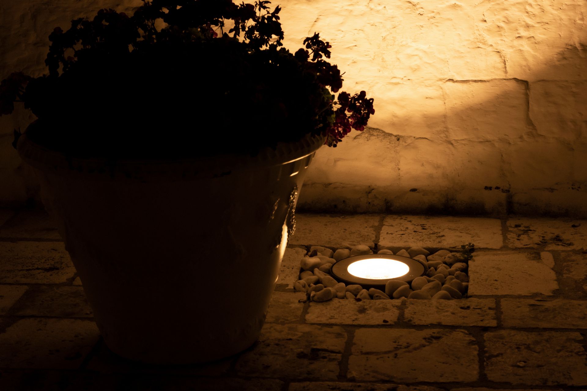 Potted plant silhouetted by warm light beside a glowing ground lamp on a stone patio