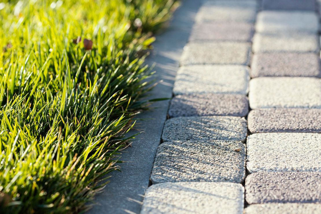 A brick walkway with grass growing between the bricks.