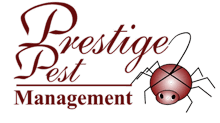 Prestige Pest Management
