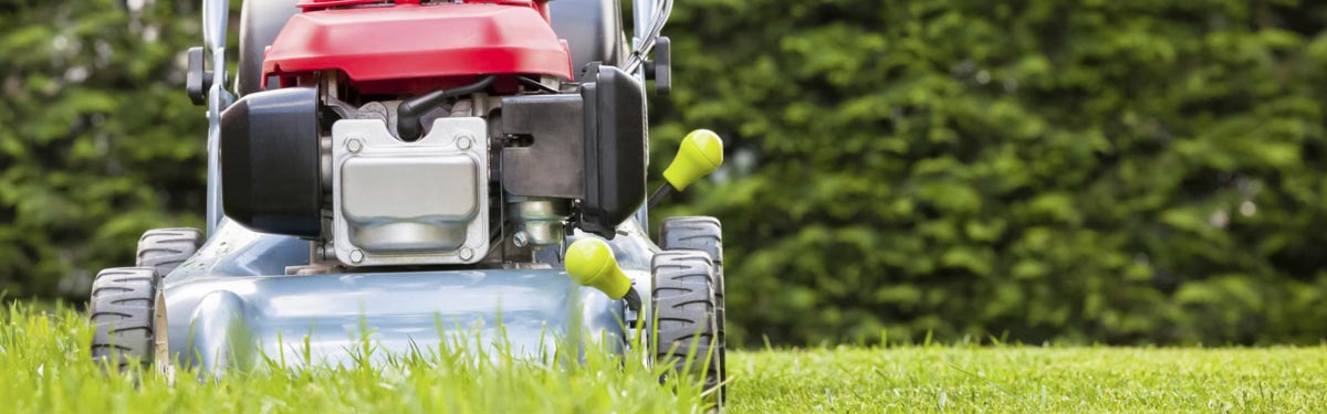 environmental weed management mowing grass