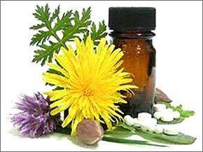 Homeopathy - Fareham - A B Benstead - Flower