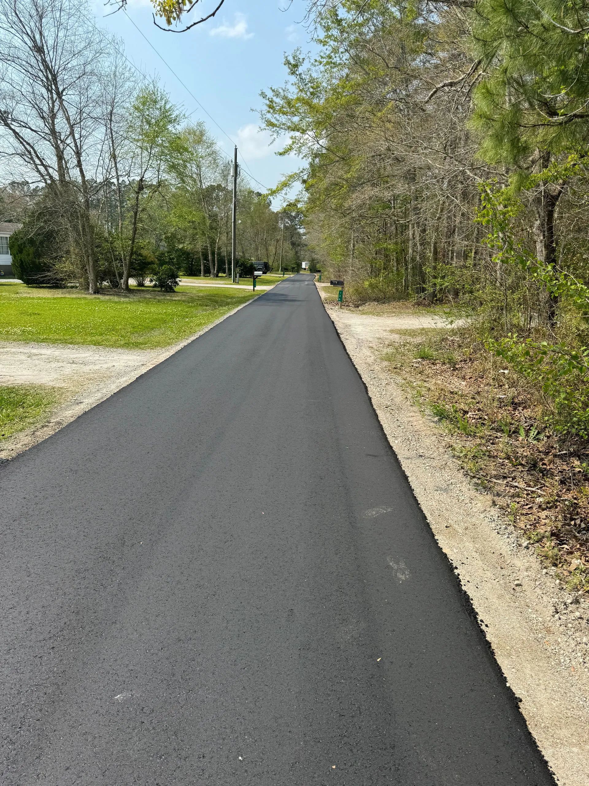 Paved path through trees and grassy areas on a sunny day.