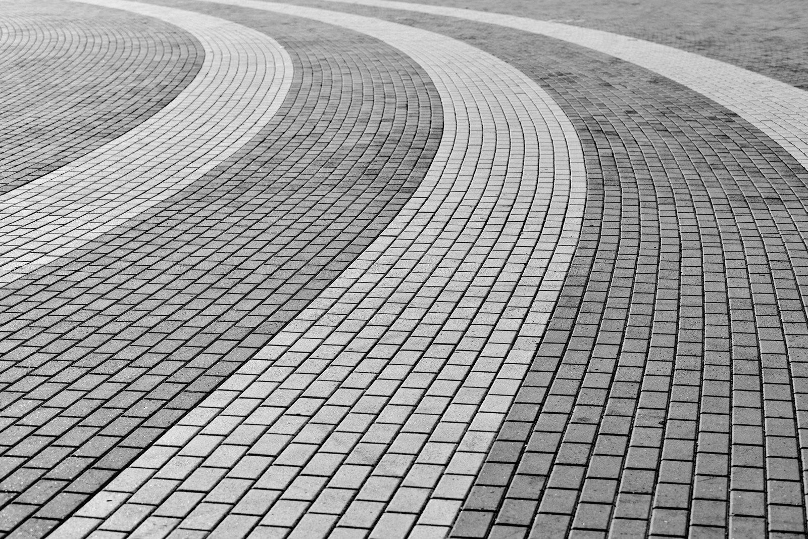 A black and white photo of a curved brick pavement.