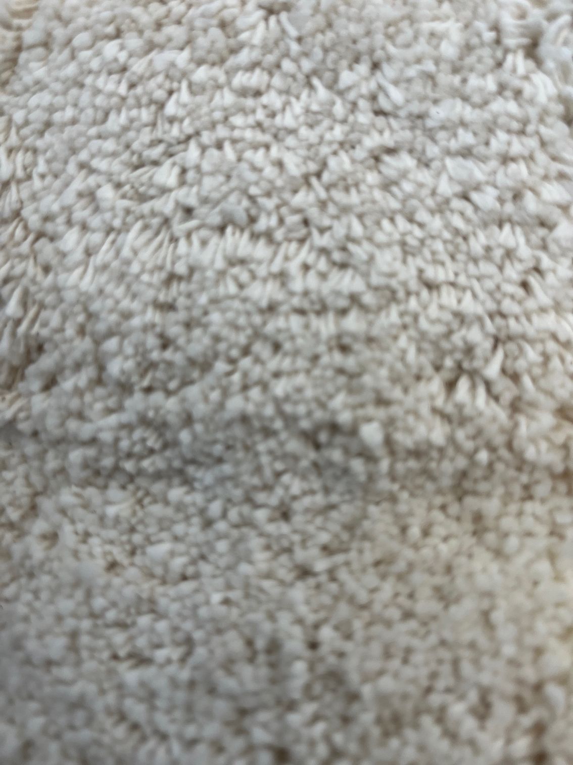 Close-up of a white, textured, fluffy carpet.